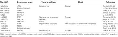 Long Noncoding RNA GAS5: A New Factor Involved in Bone Diseases